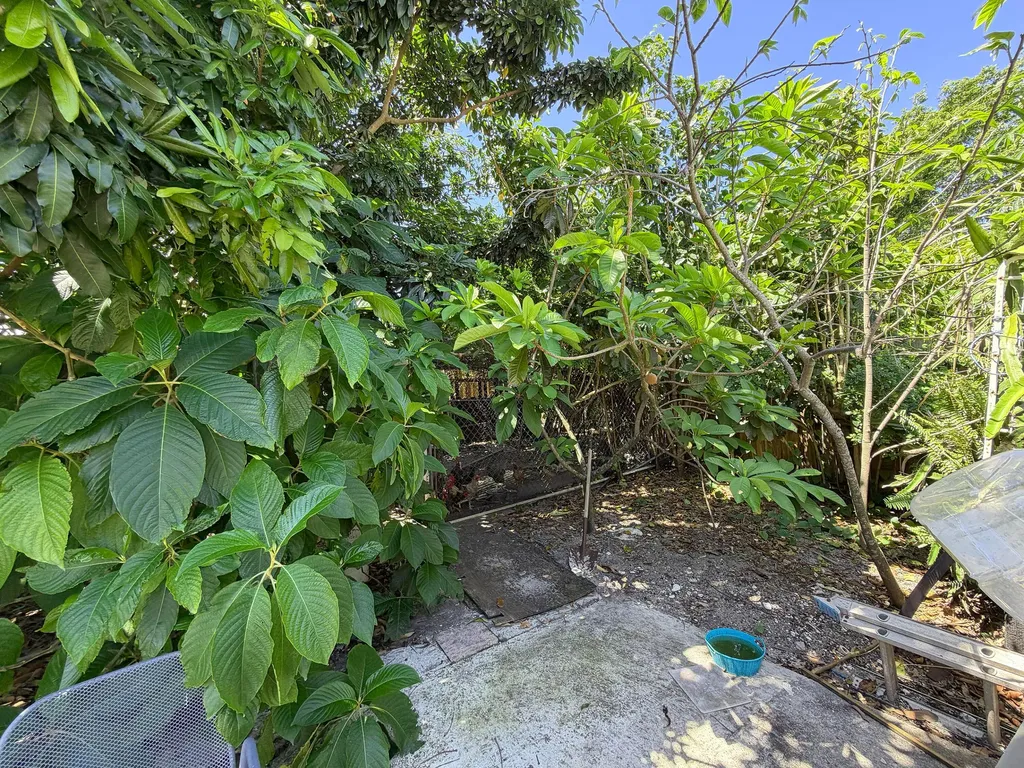 2926 Hiawatha Avenue West Palm Beach FL 33409