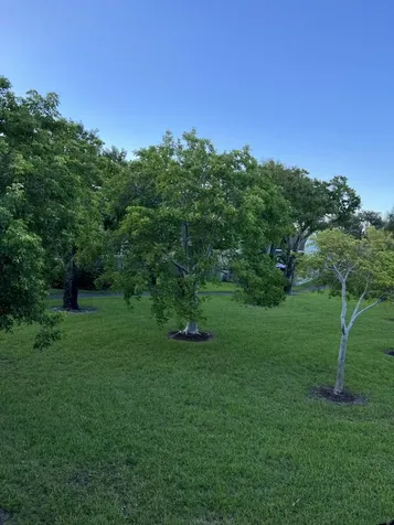 2800 S Oakland Forest Drive Oakland Park FL 33309