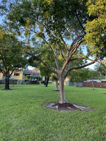 2800 S Oakland Forest Drive Oakland Park FL 33309