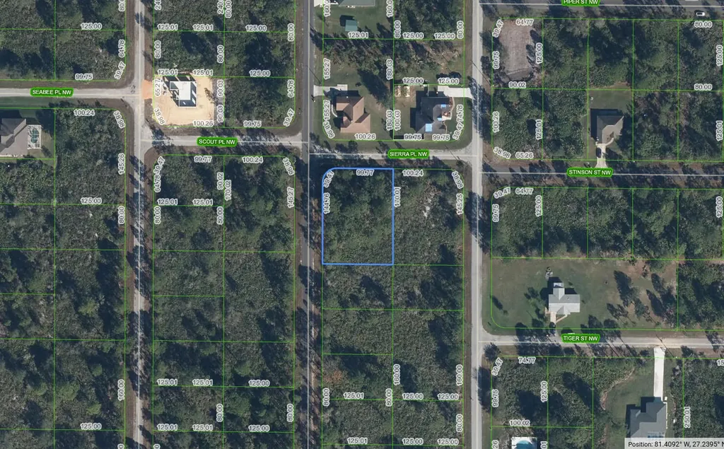 350 Norseman Avenue NW Lake Placid FL 33852