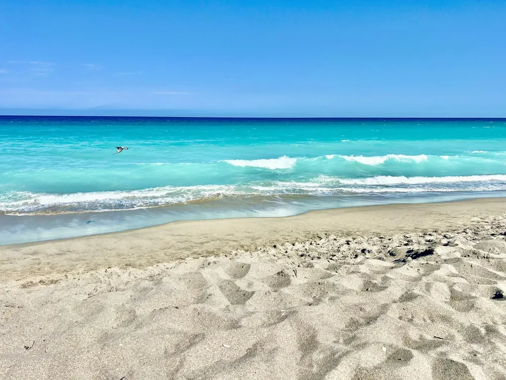 353 S Us-1 Jupiter FL 33477