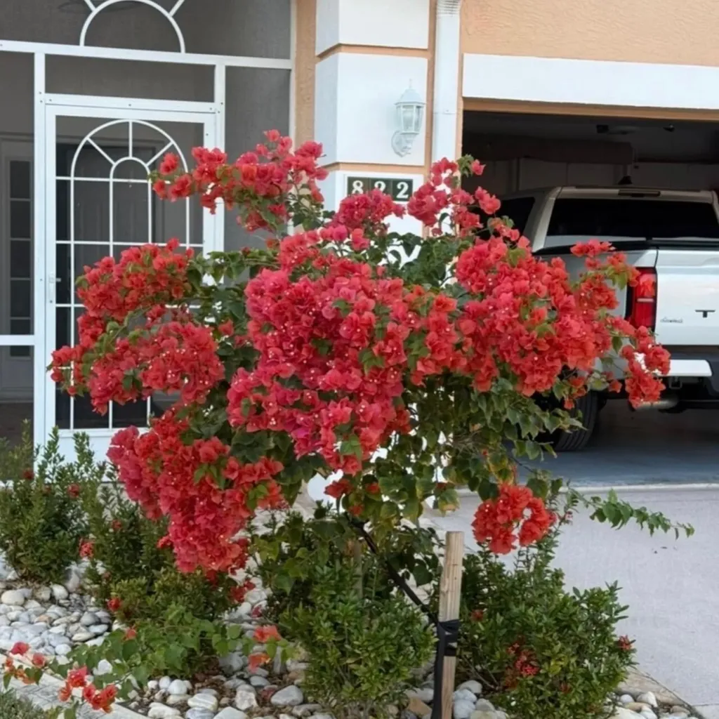 822 NW Sorrento Lane Port St Lucie FL 34986