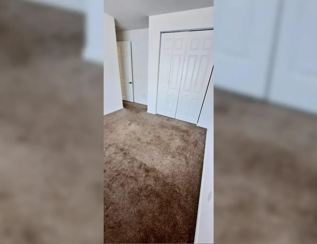 5542 Useppa Drive Ave Maria FL 34142