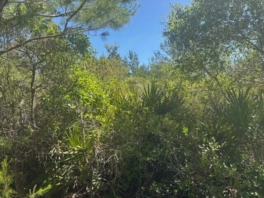 0 Golden Shores Boulevard Mims FL 32754