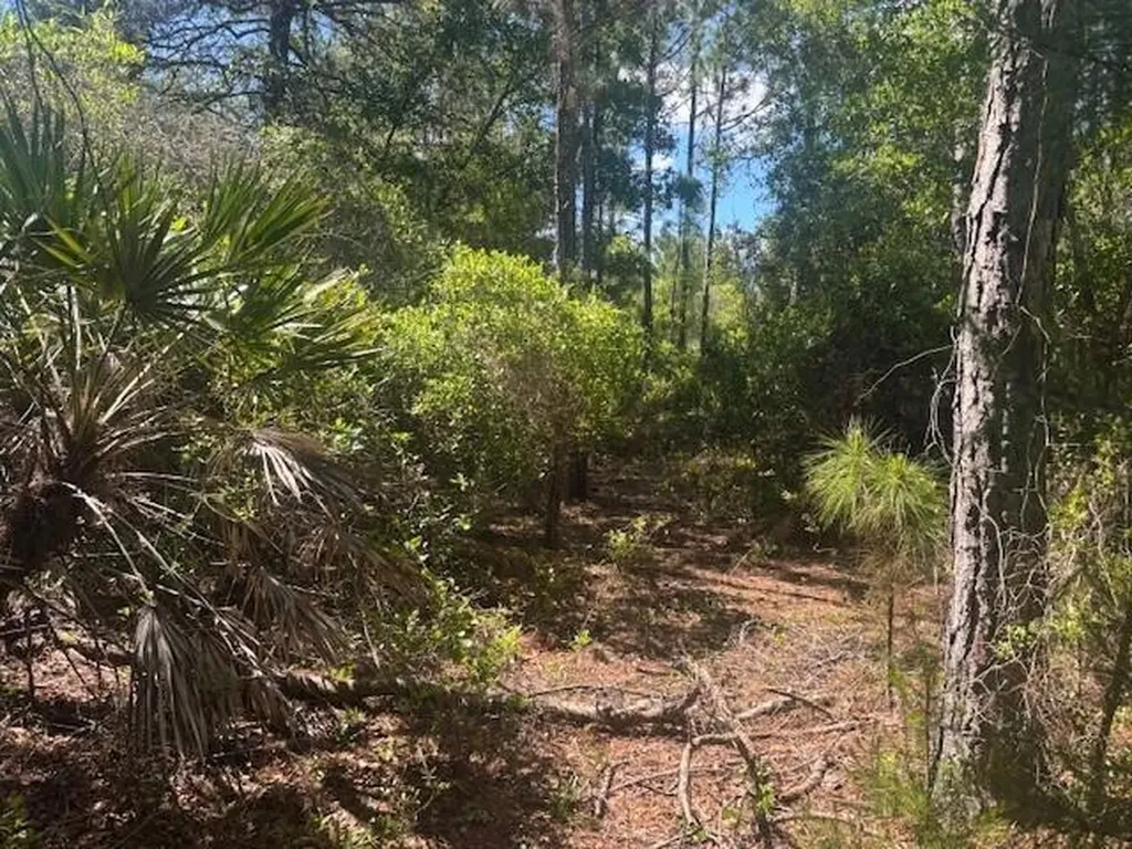 0 Golden Shores Boulevard Mims FL 32754