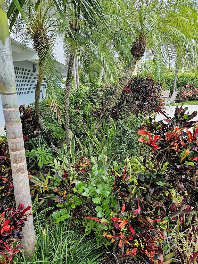 3212 NE 12th Street Pompano Beach FL 33062