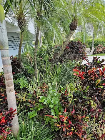 3212 NE 12th Street Pompano Beach FL 33062