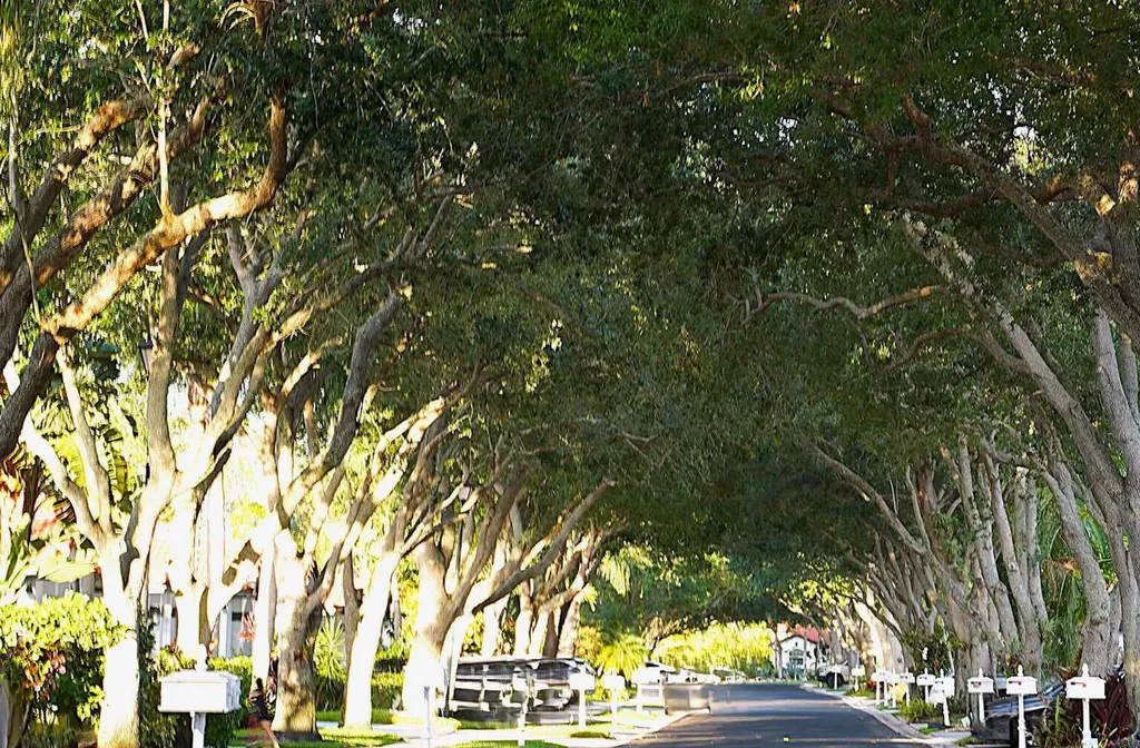8088 Vía Di Veneto Boca Raton FL 33496