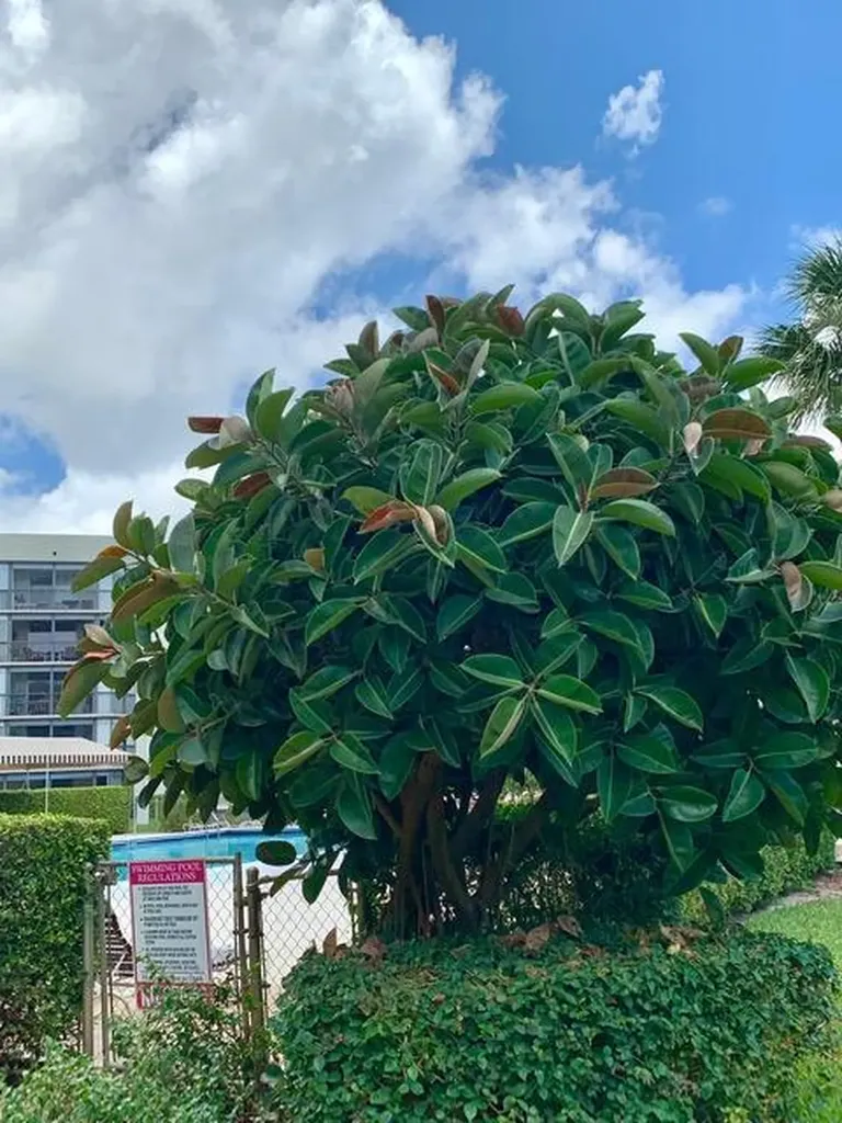 6400 NW 2nd Avenue Boca Raton FL 33487