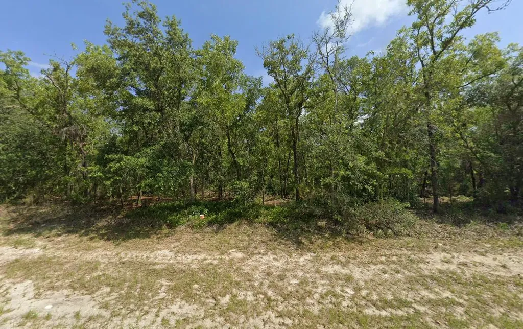 Tbd SW 72nd Circle Dunnellon FL 34432