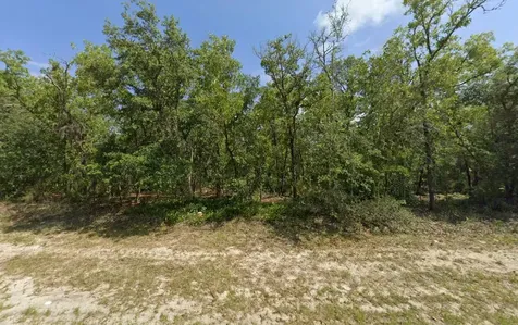 Tbd SW 72nd Circle Dunnellon FL 34432