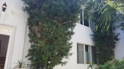 3921 N Meridian Avenue Miami Beach FL 33140
