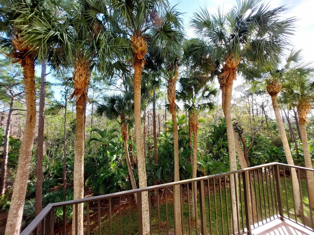 12675 SE Old Cypress Drive Hobe Sound FL 33455