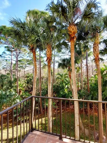 12675 SE Old Cypress Drive Hobe Sound FL 33455