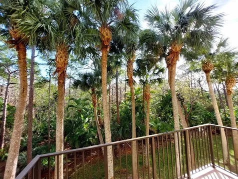 12675 SE Old Cypress Drive Hobe Sound FL 33455