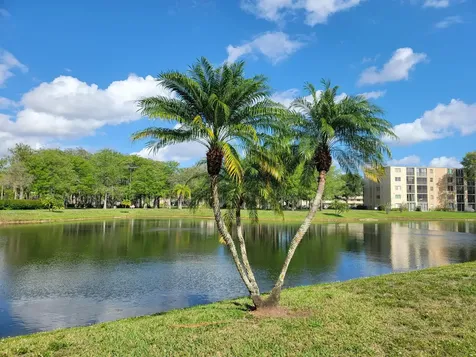 7900 NW 50th Street Lauderhill FL 33351