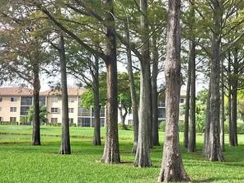 7900 NW 50th Street Lauderhill FL 33351