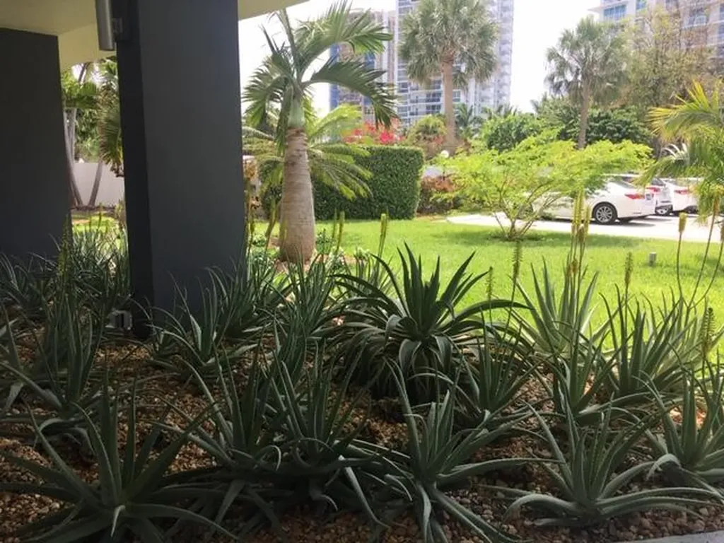 2840 N Ocean Boulevard Fort Lauderdale FL 33308