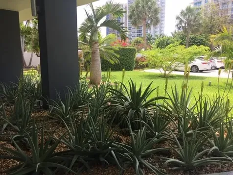 2840 N Ocean Boulevard Fort Lauderdale FL 33308