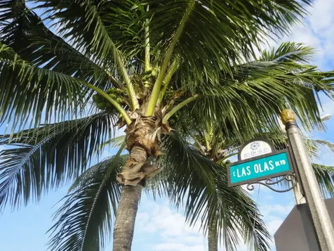 2840 N Ocean Boulevard Fort Lauderdale FL 33308