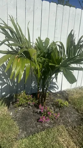 4300 W 10th Court Hialeah FL 33012