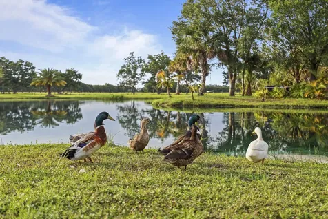 5250 21st Street SW Vero Beach FL 32968