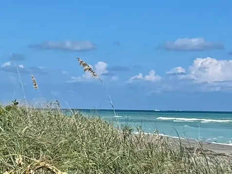 291 Mercury Road Juno Beach FL 33408