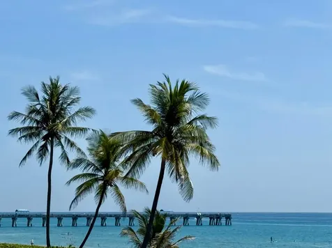 3120 S Ocean Boulevard Palm Beach FL 33480