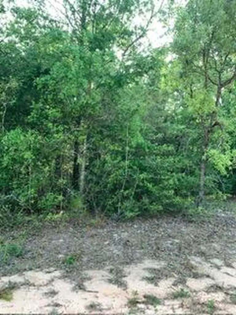 0 Gardenia Drive Marianna FL 32448