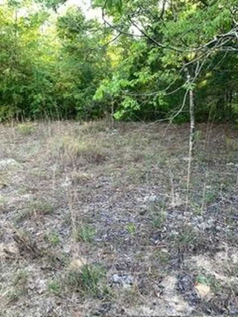 0 Gardenia Drive Marianna FL 32448