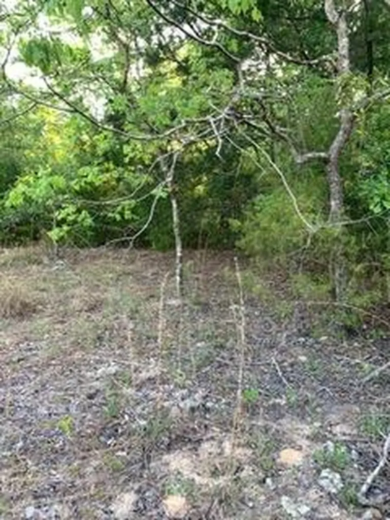 0 Gardenia Drive Marianna FL 32448