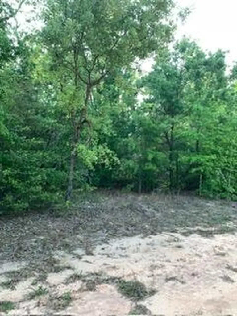0 Gardenia Drive Marianna FL 32448