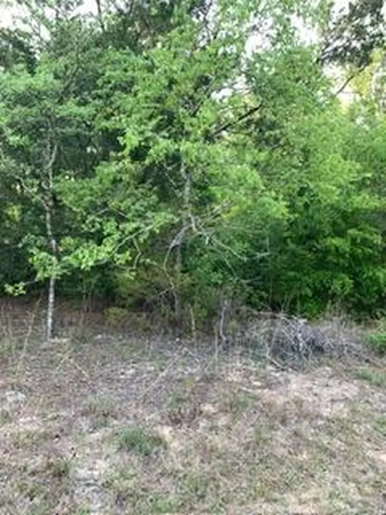 0 Gardenia Drive Marianna FL 32448
