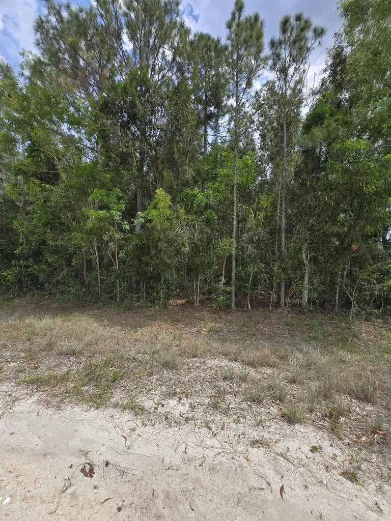 42 Nd Road N Loxahatchee Groves FL 33470