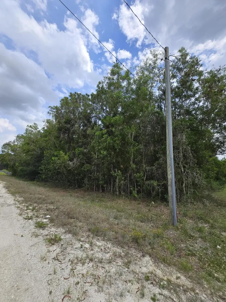 42 Nd Road N Loxahatchee Groves FL 33470