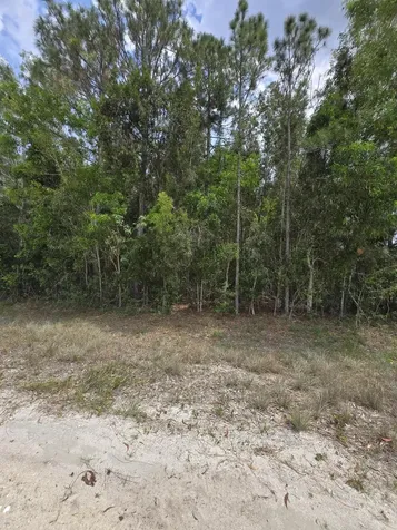 42 Nd Road N Loxahatchee Groves FL 33470