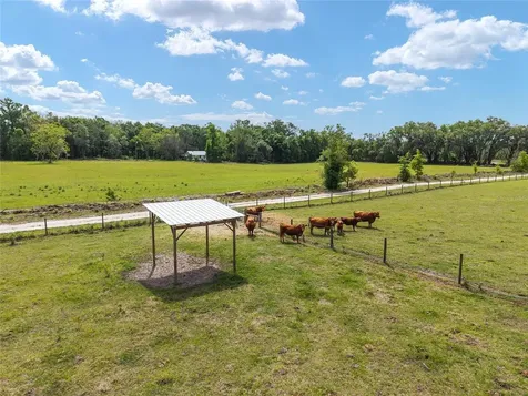3725 172nd Street Wellborn FL 32094