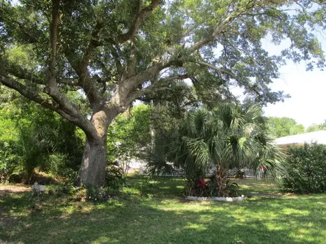 732 Bayfront Terrace Sebastian FL 32958