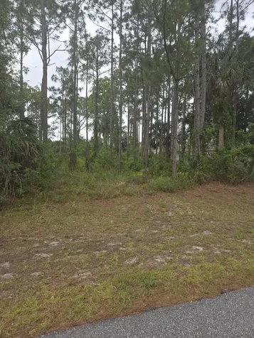 1836 Pindo Court NW Palm Bay FL 32909
