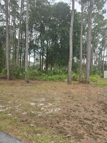 1836 Pindo Court NW Palm Bay FL 32909