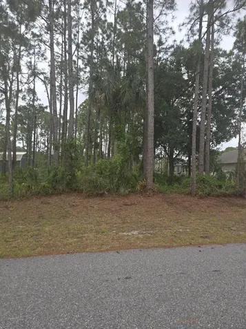 1836 Pindo Court NW Palm Bay FL 32909