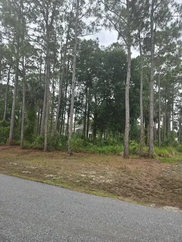 1836 Pindo Court NW Palm Bay FL 32909