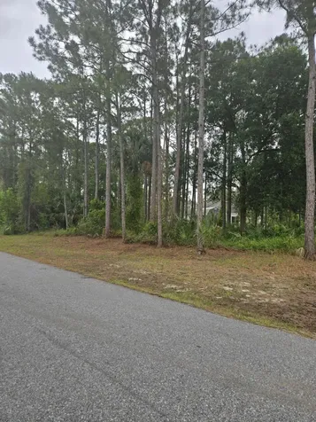 1836 Pindo Court NW Palm Bay FL 32909