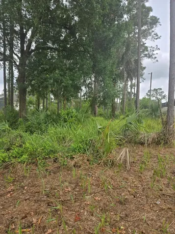 1836 Pindo Court NW Palm Bay FL 32909