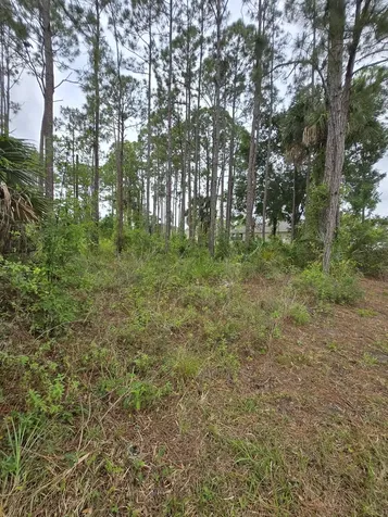 1836 Pindo Court NW Palm Bay FL 32909