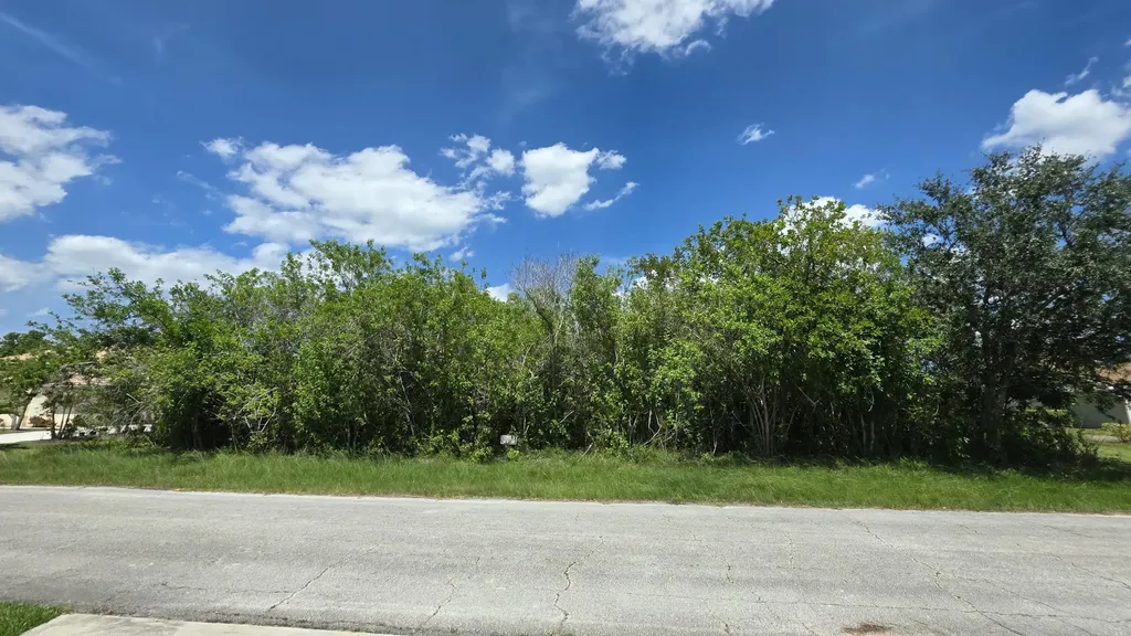 3909 SW Leesburg Street Port St Lucie FL 34953