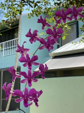 8902 SE Marina Bay Drive Hobe Sound FL 33455