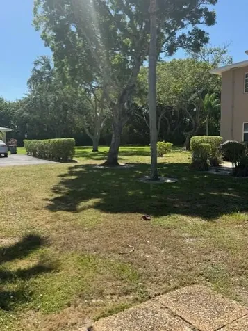 13924 Vía Flora Delray Beach FL 33484