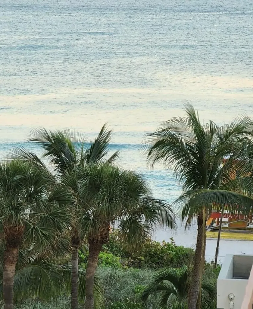 6039 Collins Avenue Miami Beach FL 33140