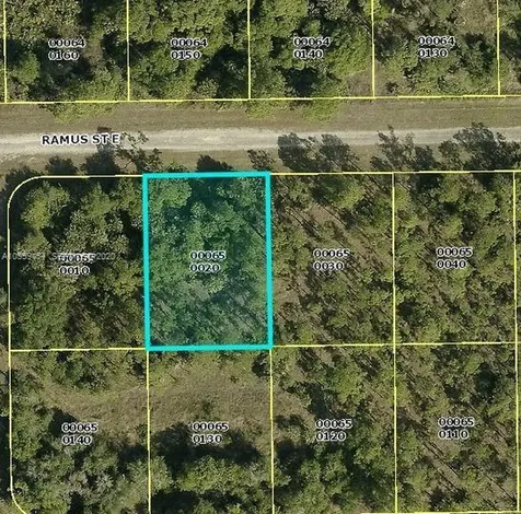 1238 Ramus Street E Lehigh Acres FL 33974